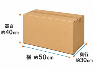 横約50cm、高さ約40cm、奥行約30cmを示すみかん箱程度の段ボール寸法イラスト